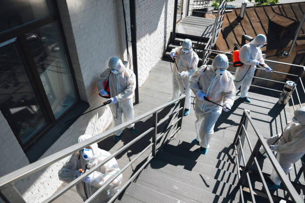 Best Black Mold Removal  in Meriden, CT