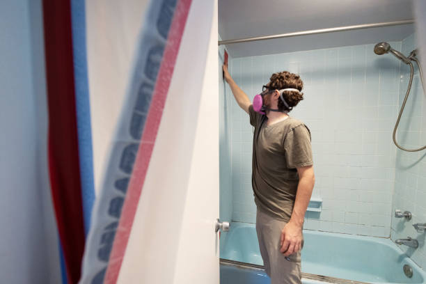 Trusted Meriden, CT Mold Removal Experts