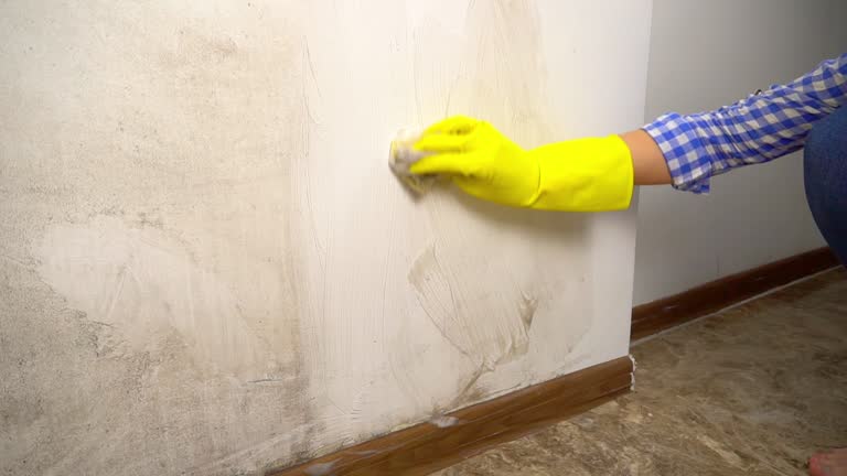 Best Post-Construction Mold Inspection  in Meriden, CT