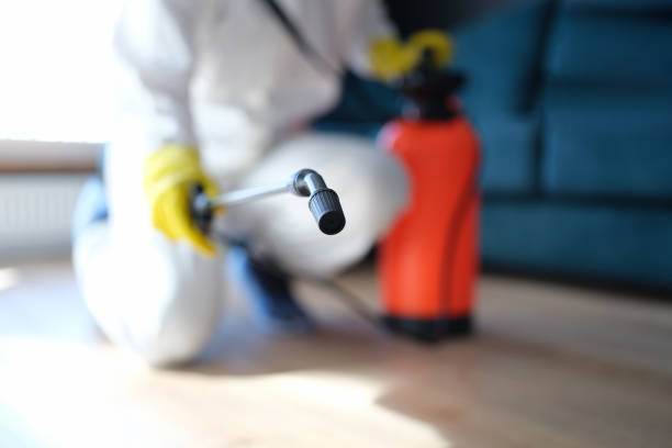 Best Mold Removal for HVAC Installations  in Meriden, CT