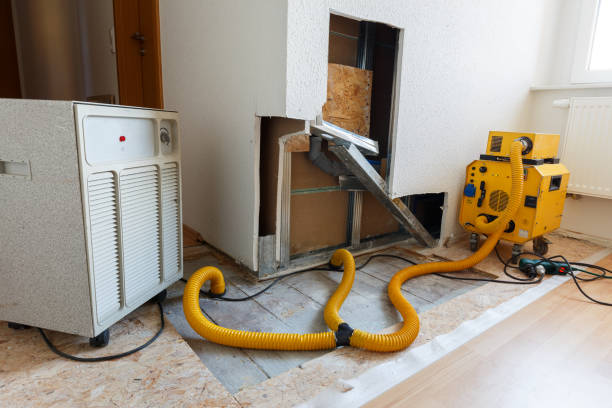 Mold Odor Removal Services in Meriden, CT