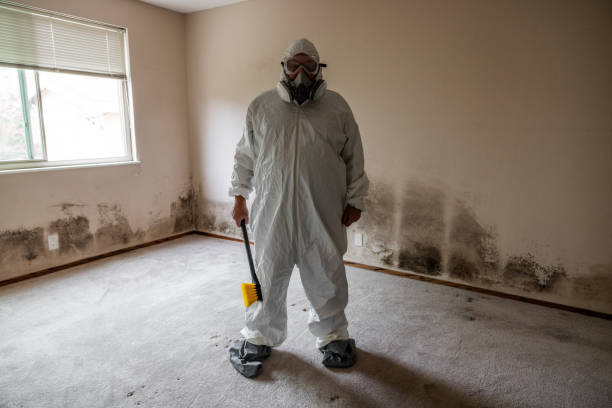 Best Asbestos and Lead Testing During Mold Inspection  in Meriden, CT